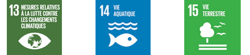Objectifs de Développement Durable mesure relative lutte contre changement climatique vie aquatique terrestre 13 4 15