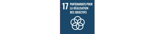 Objectifs de Développement Durable partenariat pour realisation objectif 17