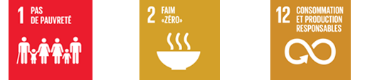Objectifs de Développement Durable pas de pauvrete faim zero consommation production responsables 1 2 12