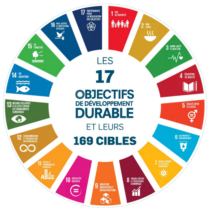 Objectifs de Développement Durable ONU écologie recyclage